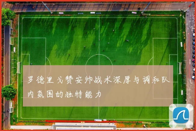 罗德里戈赞安帅战术深厚与调和队内氛围的独特能力