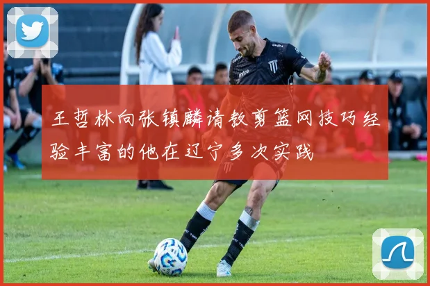 王哲林向张镇麟请教剪篮网技巧经验丰富的他在辽宁多次实践
