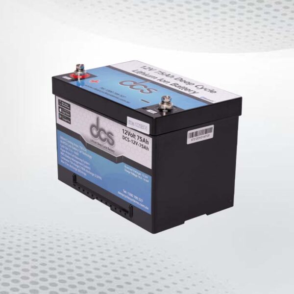 lifepo4 lithium battery battery