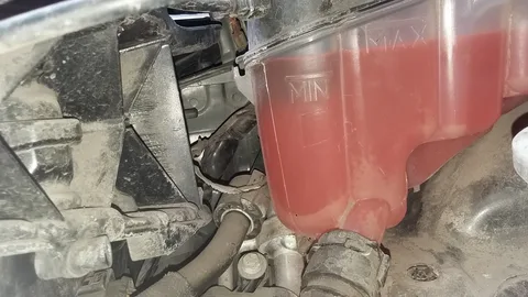 Holden Cruze Purge Valve