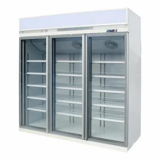 Double Glass Door Freezer