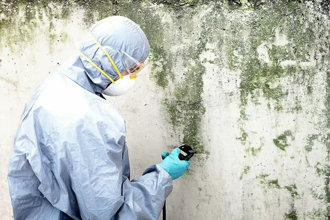 Emergency Mould Remediation Sydney