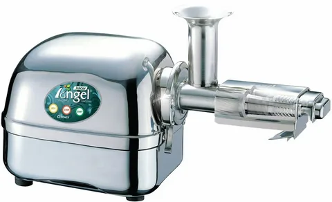 angel cold press juicer