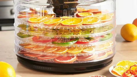 best food dehydrator